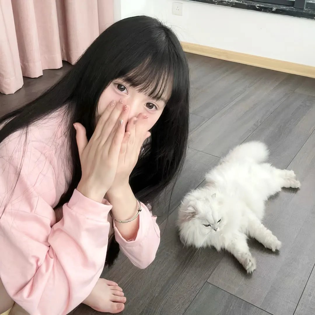 狼犬历险记海报