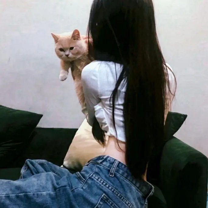 我们的傻老哥海报
