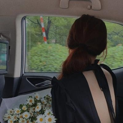 毛丰美海报